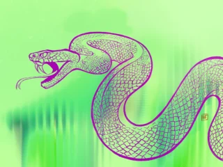 Year of the Snake